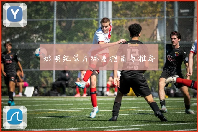 姚明纪录片观看指南与推荐